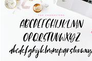 Fonts bundle - 12 fonts, a Handwritten Font by Creator Goodies (Thumbnail 15 of 37)