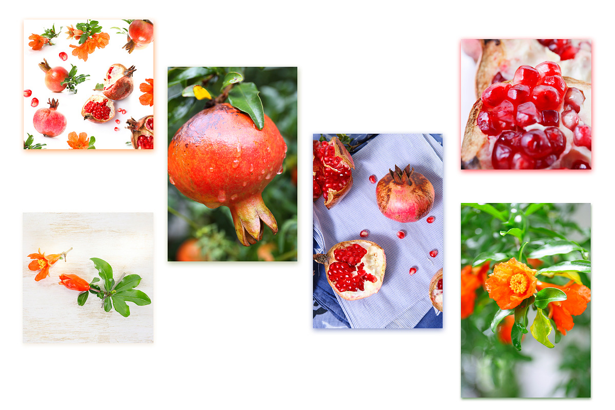 Pomegranate. PhotoSet, an Object Graphic by Pullia (Photo 5 of 5)