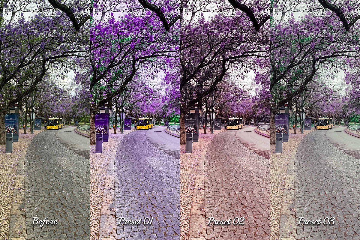 30 Magic Mauve Lightroom Collection, a Preset Add-On by 3Motional (Photo 10 of 11)