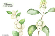 Watercolor snowberry clipart, an Illustration by OlDm_Shop (Thumbnail 9 of 11)
