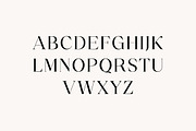 Quirk Modula Serif Typeface Font, a Serif Font by UICreative (Thumbnail 3 of 13)