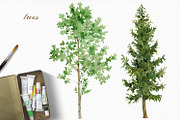 Forest watercolor designer toolkit, an Animal Illustration by Elegantia (Thumbnail 16 of 28)