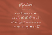 Style Line, a Script Font by Paul Hewitt (Thumbnail 8 of 9)