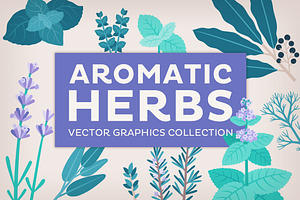 Aromatic Herbs Vector Graphics