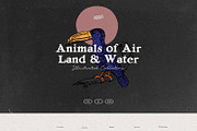 The Vintage Bundle, an Object Graphic by Nomad Visuals (Thumbnail 19 of 45)