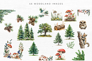 Woodland Animal Clipart, an Animal Illustration by EllyandLima (Thumbnail 6 of 7)