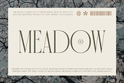 CS Golder – Condensed Font, a Serif Font by Craft Supply Co. (Thumbnail 7 of 8)