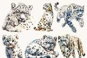 Watercolor Snow Leopard Clipart, an Animal Illustration by Design Scotch (Thumbnail 2 of 8)