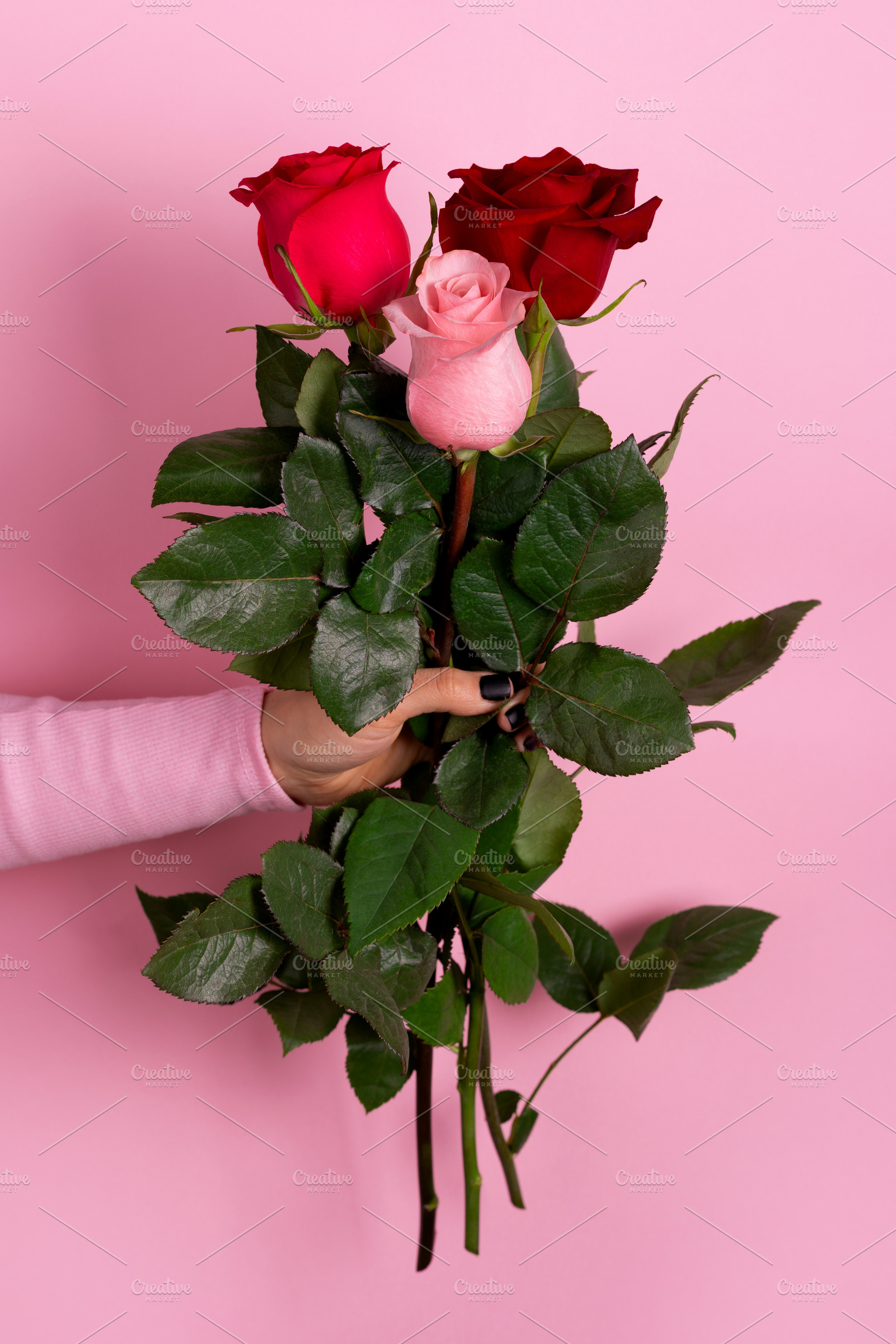 A hand holds a bouquet of red and pink roses against a pastel pi, a Nature Photo by Ales Munt