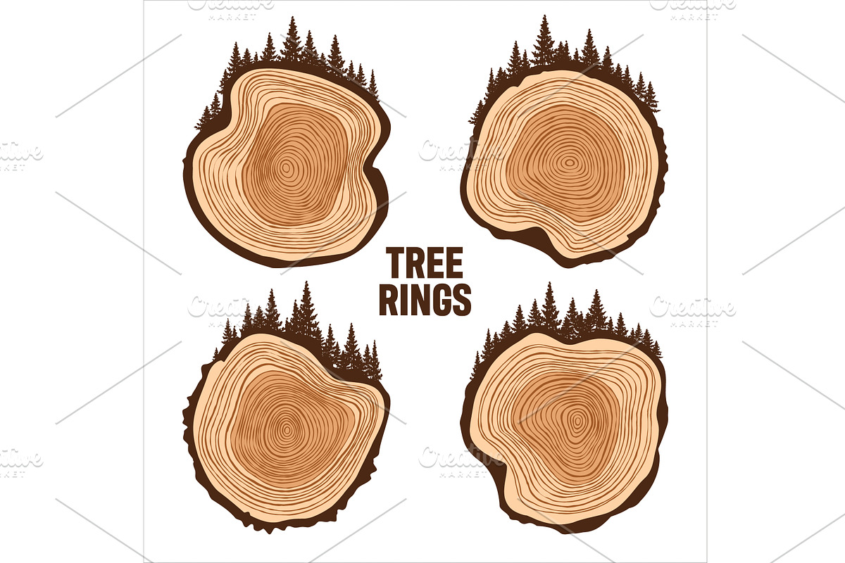 Round tree trunk cuts with trees and, an Object Illustration by 32pixels