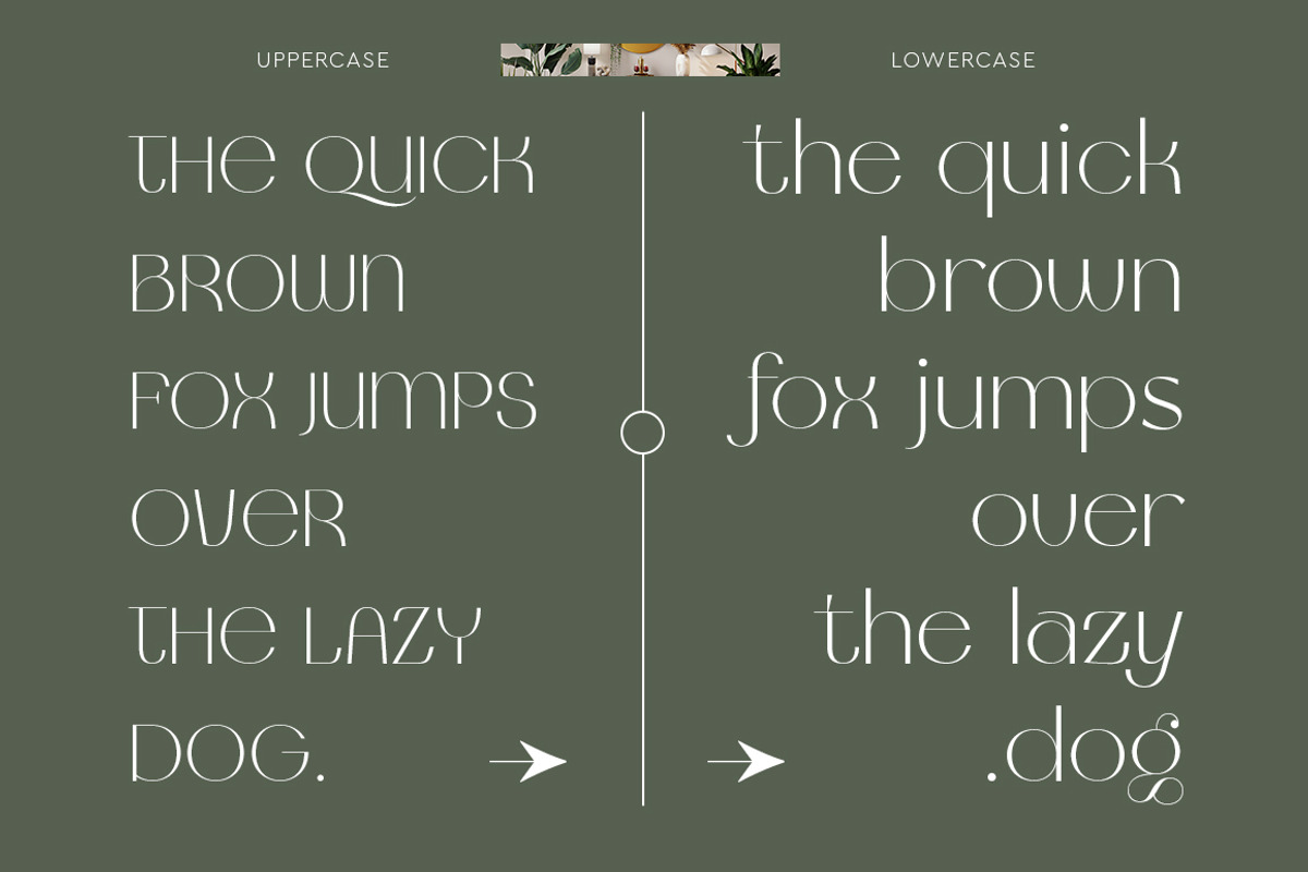 Veronika Luxurious | Bonus Logo, a Sans Serif Font by Mulkan Nazir (Photo 17 of 17)