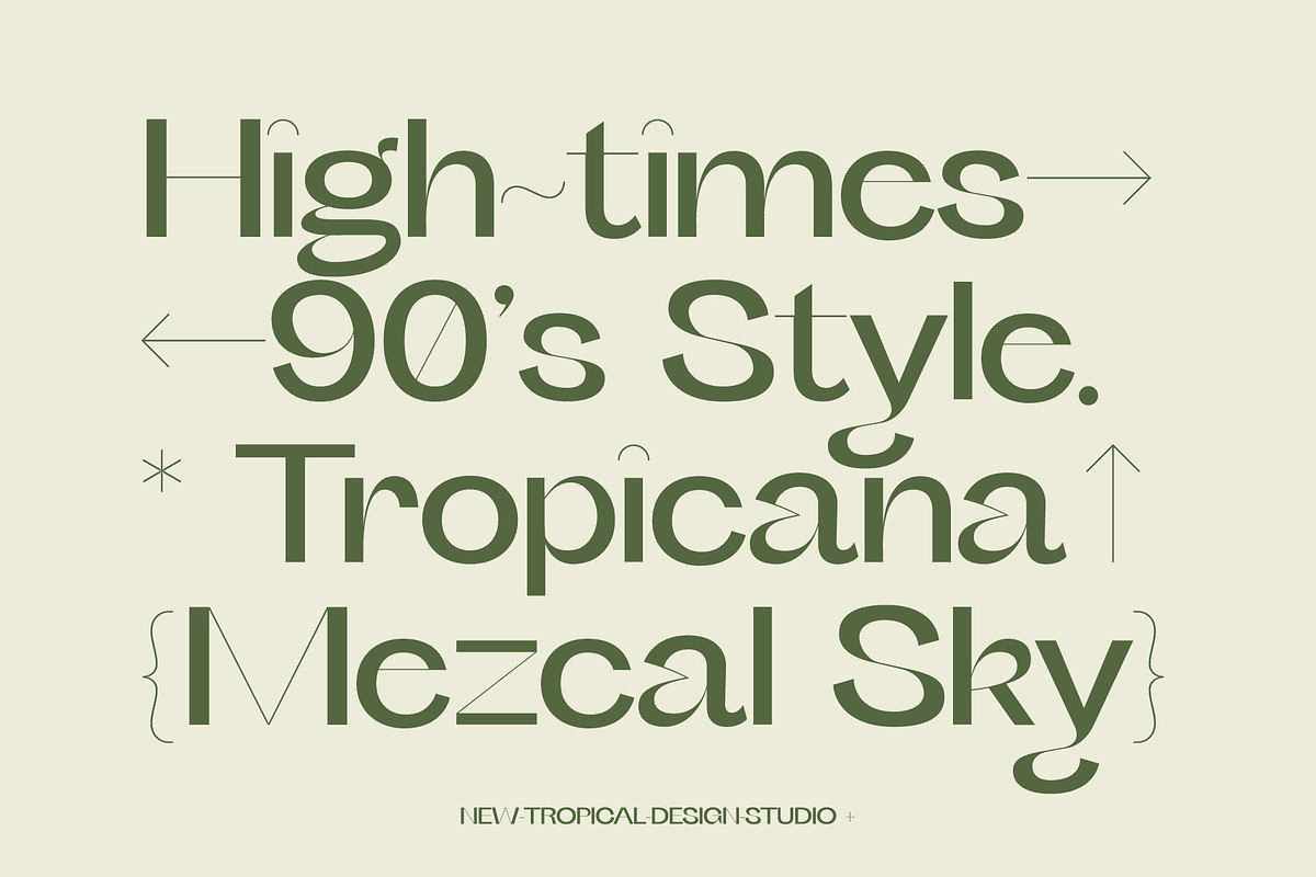 Future Classic Sans Typeface, a Sans Serif Font by Tropical Type (Photo 2 of 11)