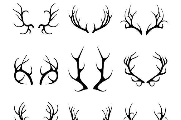 Vector Deer Antlers