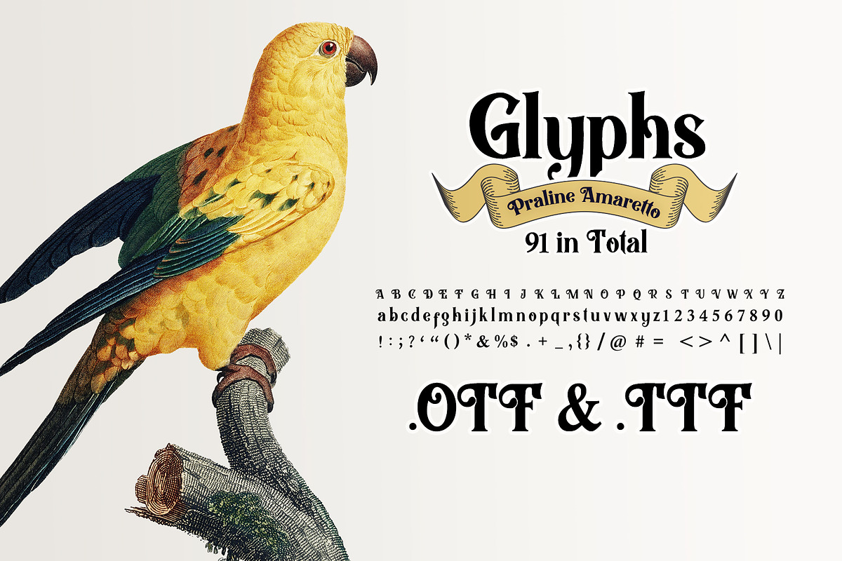 Praline Amaretto - Vintage Font, a Serif Font by Layerform Design Co. (Photo 5 of 5)