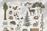 Watercolor Forest Collection, a Decorative Illustration by ApetekMarket (Thumbnail 2 of 14)