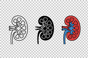 Human Kidney Vector Icon Set, an Object Graphic by Artonix (Thumbnail 3 of 3)