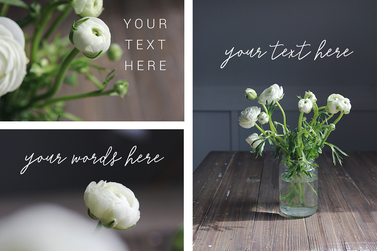 Stock photos, Moody white flower, a Print Template by Angele Kamp (Photo 5 of 6)