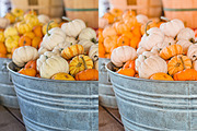 5 PUMPKIN LIGHTROOM PRESETS, an Action Add-On by Emma Kate Creative (Thumbnail 6 of 10)
