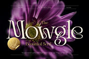 Mowgle, a Serif Font by Burntilldead (Thumbnail 1 of 12)