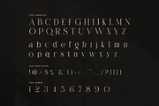 The Simple Elegant Serif Font, a Serif Font by Perfectype (Thumbnail 7 of 8)