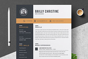 Resume/CV Bundle | 200+ for $29, a Resume Template by ResumeInventor (Thumbnail 41 of 207)