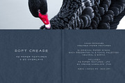 Crease - Paper Textures & Overlays, a Texture Graphic by alonahaidash (Thumbnail 11 of 15)