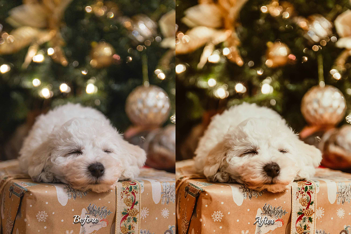 30 Jolly Cream Photoshop Collection, an Action Add-On by 3Motional (Photo 2 of 11)