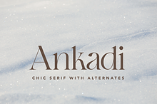 Ankadi Serif