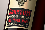 Sanctum Font Pack, a Serif Font by Type Box (Thumbnail 5 of 9)