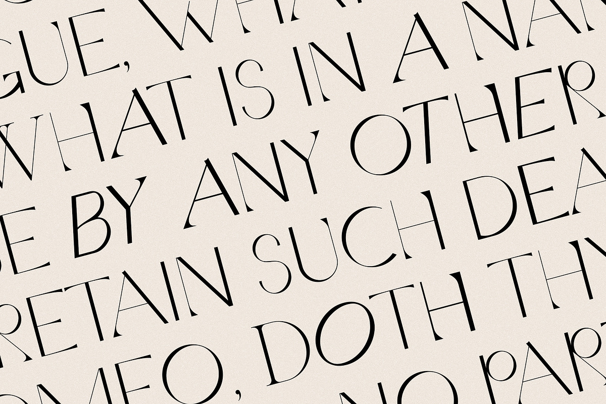 Quarx - Sans & Serif Modern Font Duo, a Sans Serif Font by SilverStag Type Foundry (Photo 17 of 18)