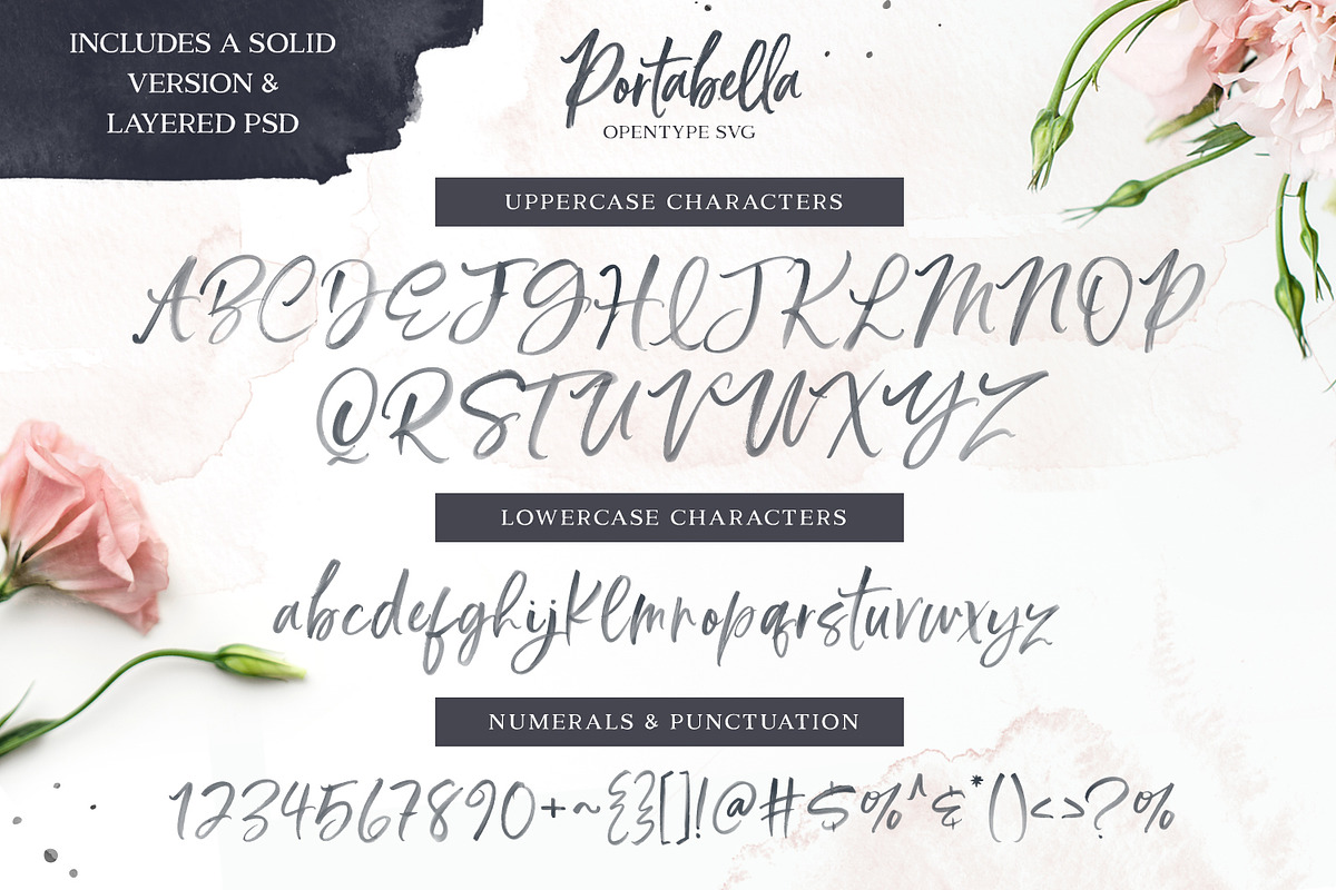 Portabella Font Collection, a Script Font by Callie Rian & Co. (Photo 11 of 19)