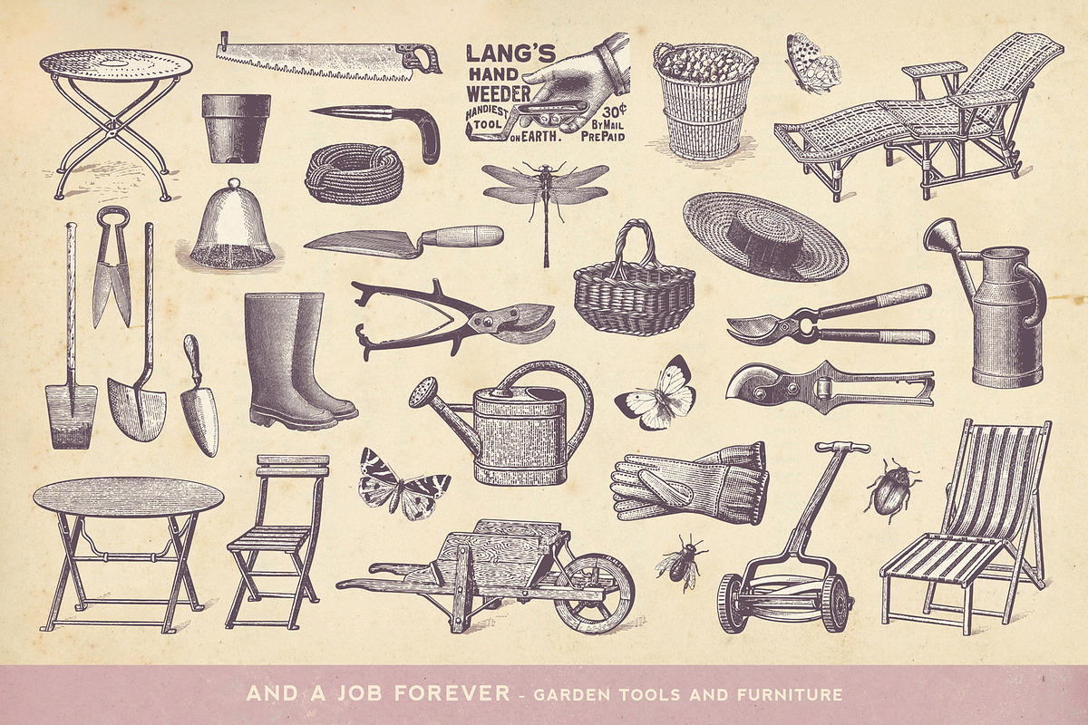 SALE! 100 Garden Illustrations, an Object Illustration by Anja Kaiser (Photo 4 of 8)