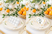 Frosted Citrus Card Mockup, a Product Mockup by NikiArts (Thumbnail 6 of 8)