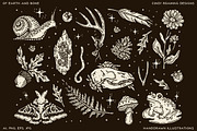 Of Earth & Bone Illustration Pack, an Illustration by cindyroamingdesigns (Thumbnail 5 of 7)