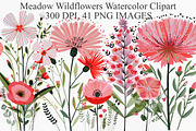 Watercolor Meadow Wildflowers, an Illustration by Canvas Craft (Thumbnail 1 of 6)