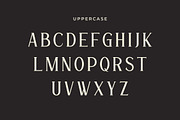 Gaisan - Sharp Modern Serif Font, a Serif Font by Mily Studio (Thumbnail 4 of 10)