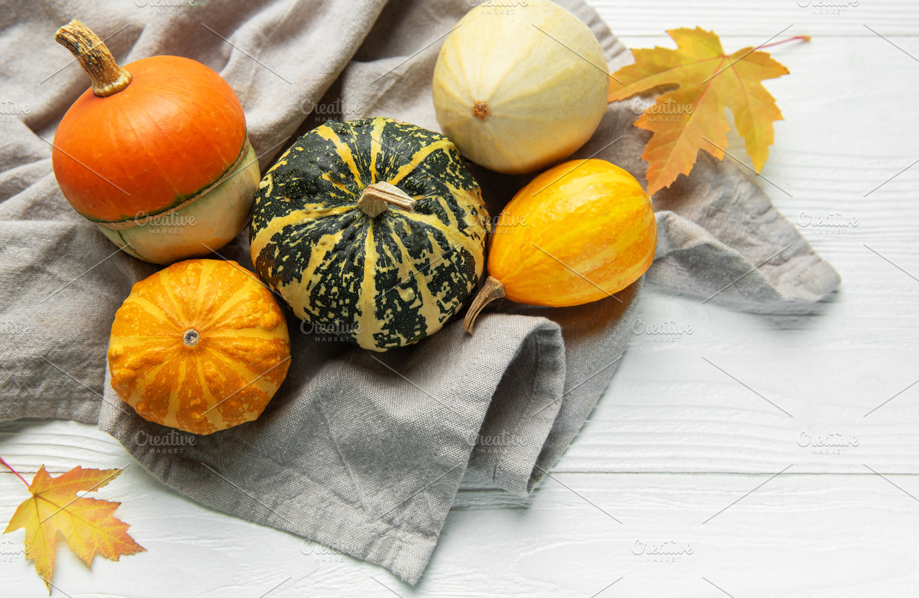Pumpkins and gourds displaying autumn harvest season, a Food & Drink Photo by Olena Rudo