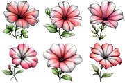 Spring Petunia Flower Clipart, an Illustration by DreamArtGraphic (Thumbnail 5 of 5)