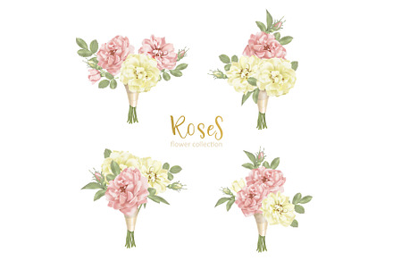 Set collection flowers roses on white background