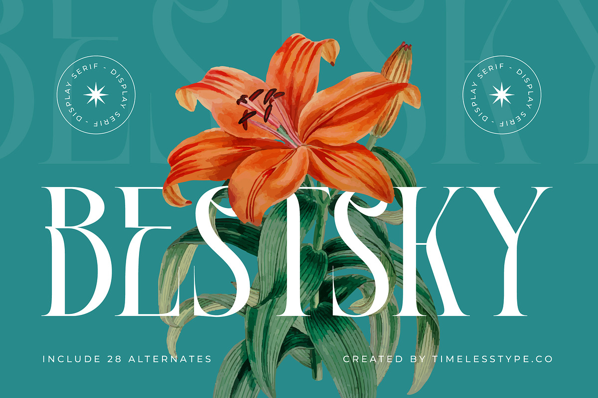 Bestsky Modern Luxury Display Serif, a Serif Font by timelesstype.co (Photo 1 of 20)