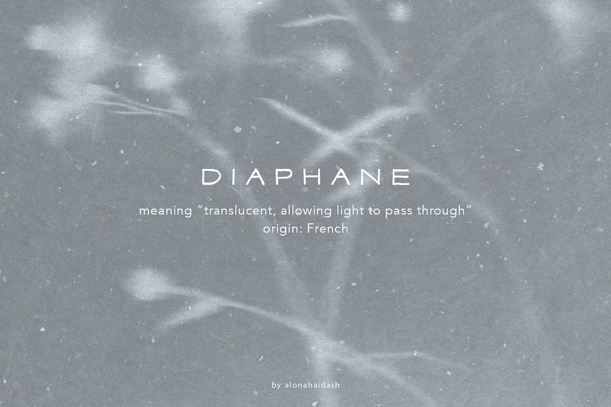 Diaphane - Blurry Floral Backgrounds, a Background Graphic by alonahaidash (Photo 6 of 16)