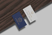 Business Card Mockup, an Advertising Mockup by Graphiculon (Thumbnail 7 of 11)
