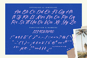 Delighta Modern Handwritten Font, a Script Font by stylishtype.co (Thumbnail 13 of 15)