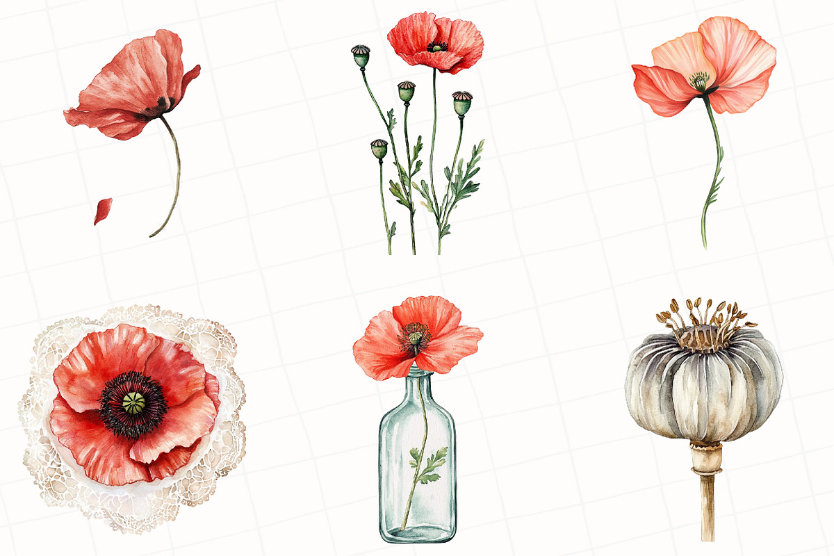 Watercolor Poppy Flower Clipart, an Illustration by OK Design (Photo 5 of 5)