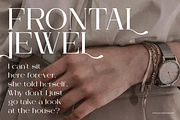 Arleon Domenk Display Elegant Serif, a Serif Font by Denustudios (Thumbnail 8 of 15)