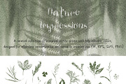 Botanical Imprint Nature Backgrounds, an Object Graphic by LenArt (Thumbnail 10 of 13)