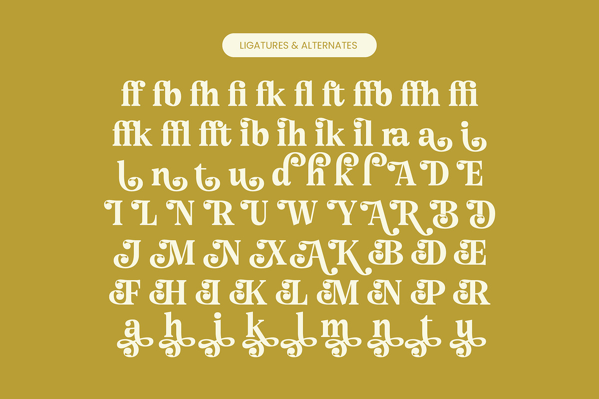 Angel & Bunda Groovy Serif Font, a Serif Font by timelesstype.co (Photo 19 of 20)