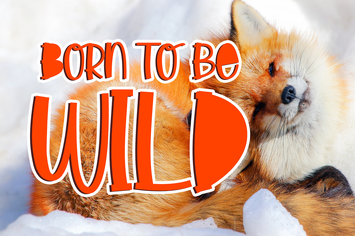 Little Foxie - Two Styles Font preview 3