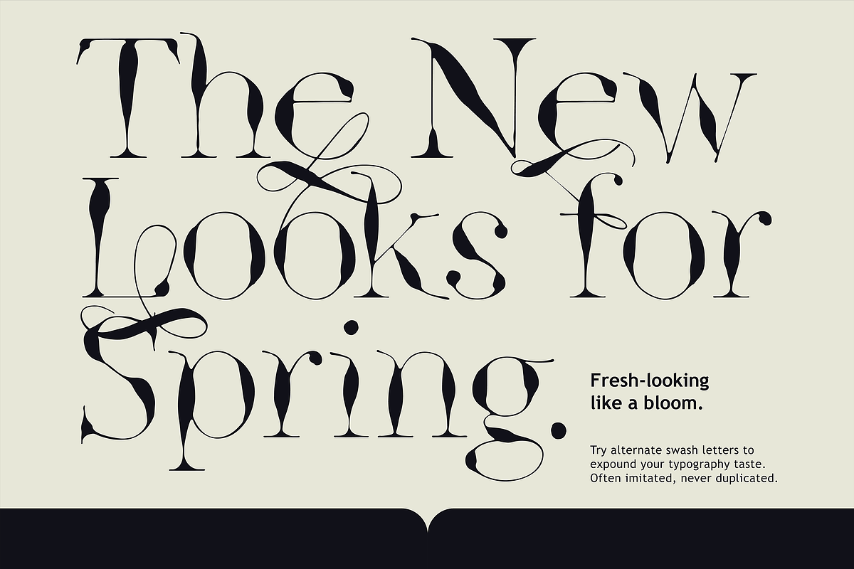 Ink Style Godwit Serif Font Family preview 4