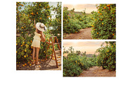 Limoncello Styled Stock Photo Bundle, a Background Photo by Munopia (Thumbnail 3 of 7)